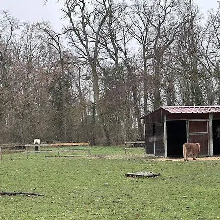 Feriehus Chateau De Souvigny: Detente Avec Piscine, Jacuzzi, Volley & Plus - Fr-1-489-510 Souvigny